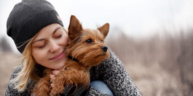 5 Essential Tips To Keep Your Dog Safe