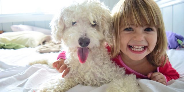 The 6 Most Kid-friendly Dog Breeds
